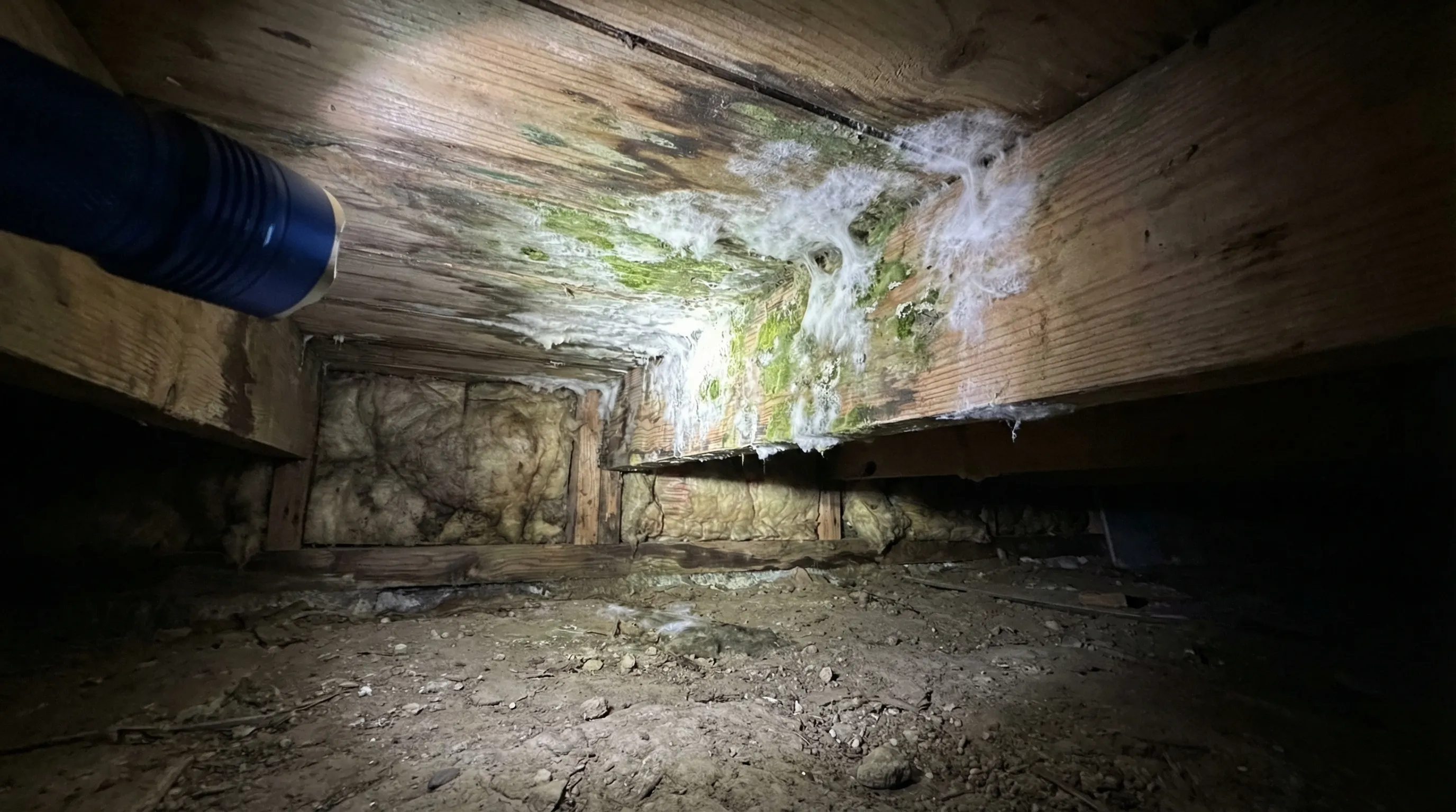 Mold growth on wooden floor joists and subfloor in a residential crawl space