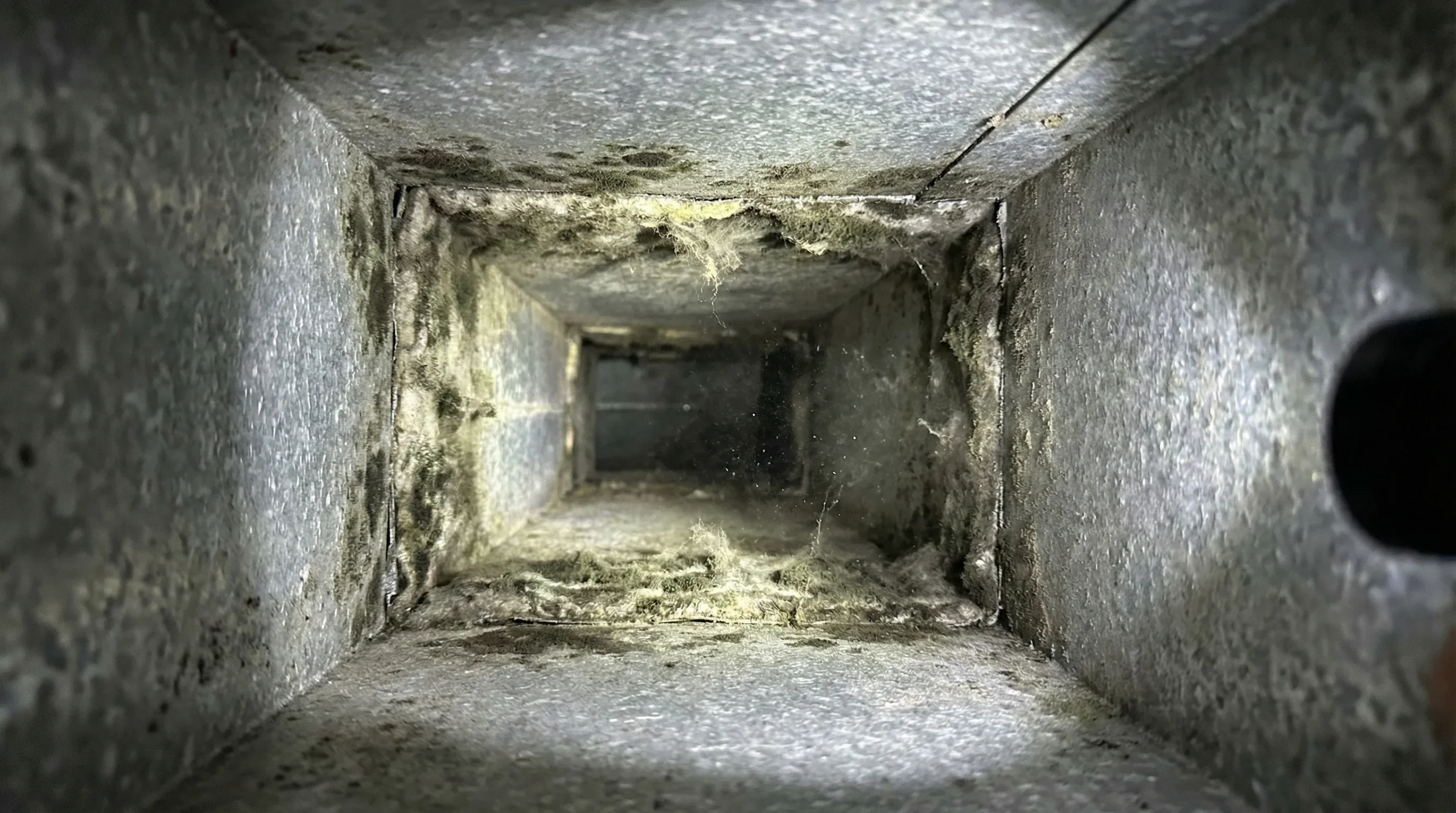 Mold contamination inside residential HVAC ductwork discovered during inspection