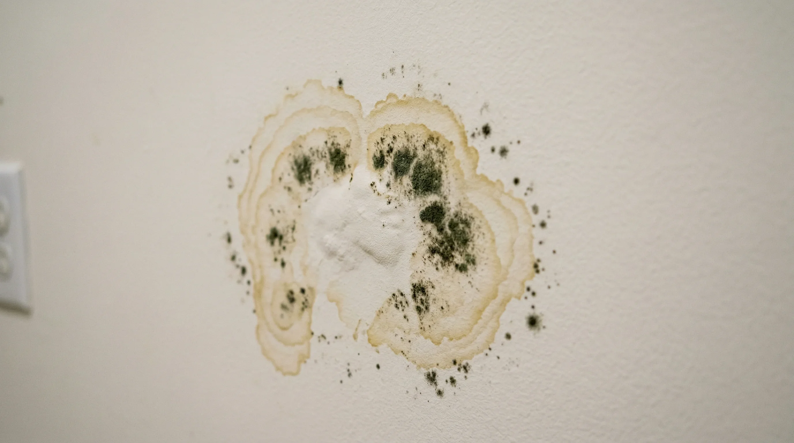 Water-damaged wall with brown stains and early mold growth development